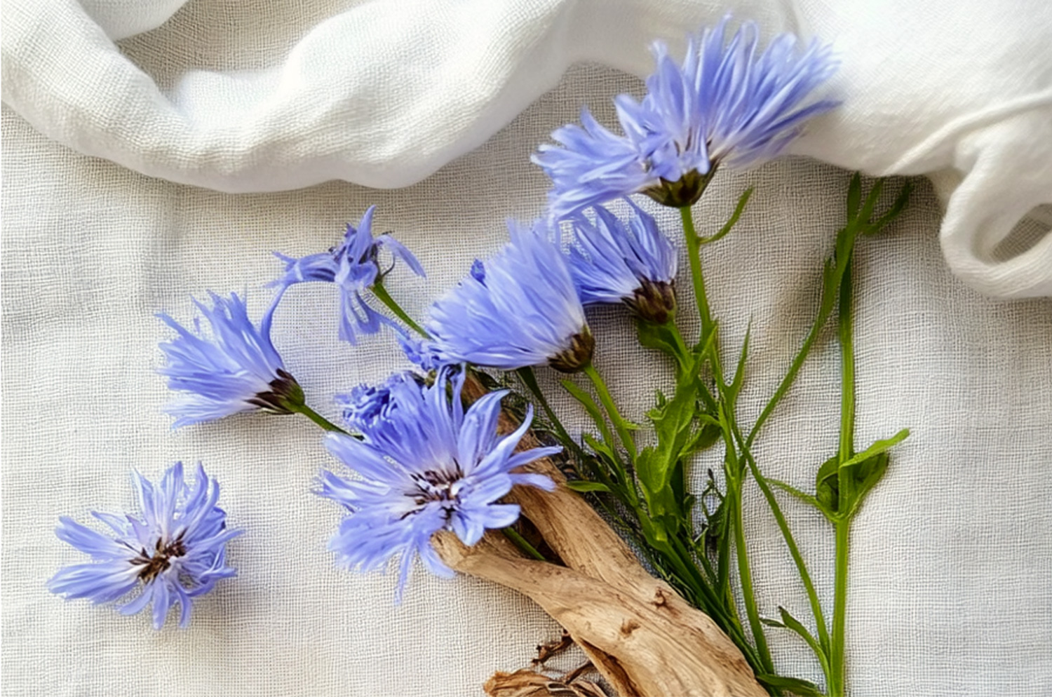 귀리